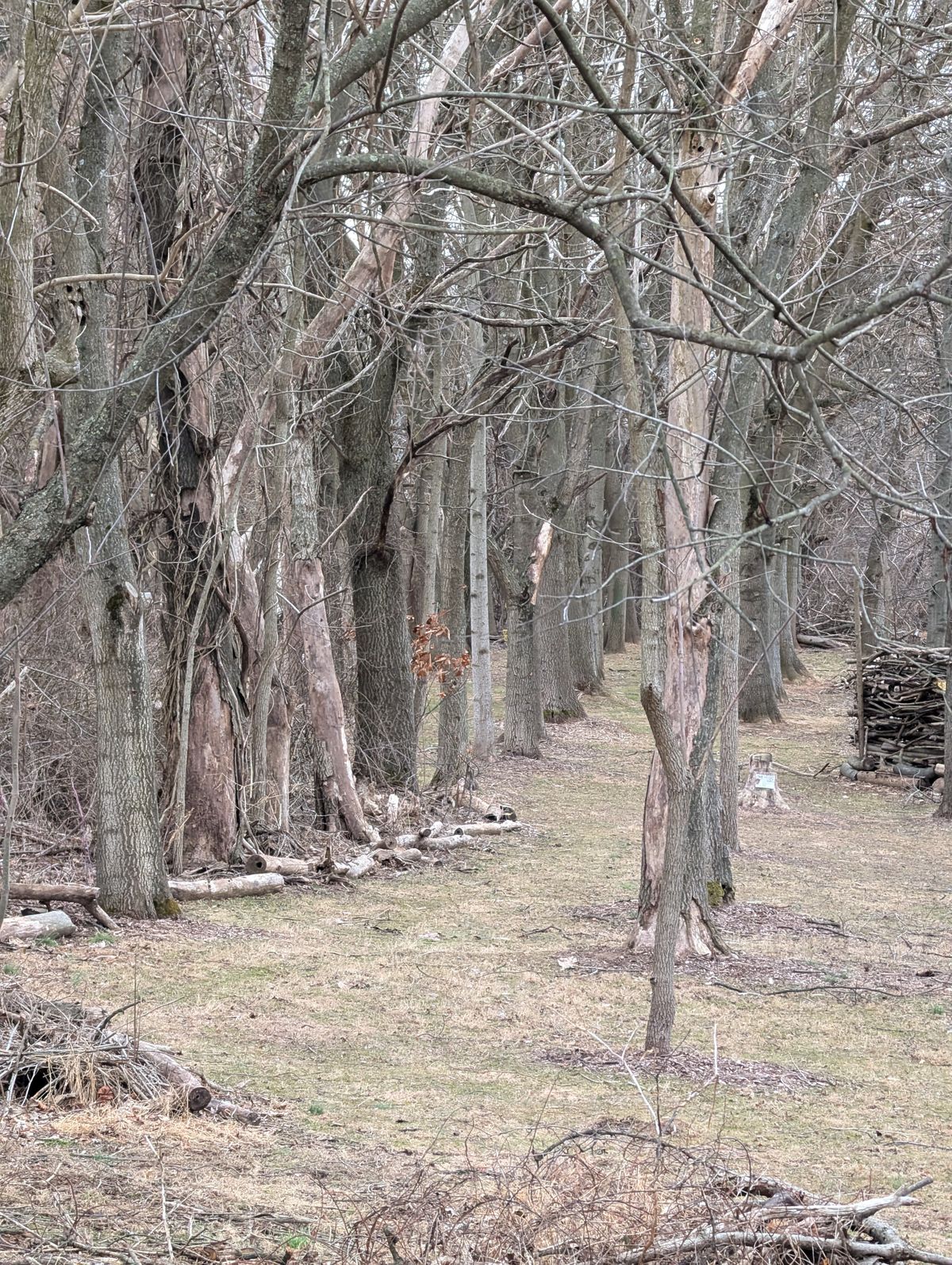 Hole 9 long basket