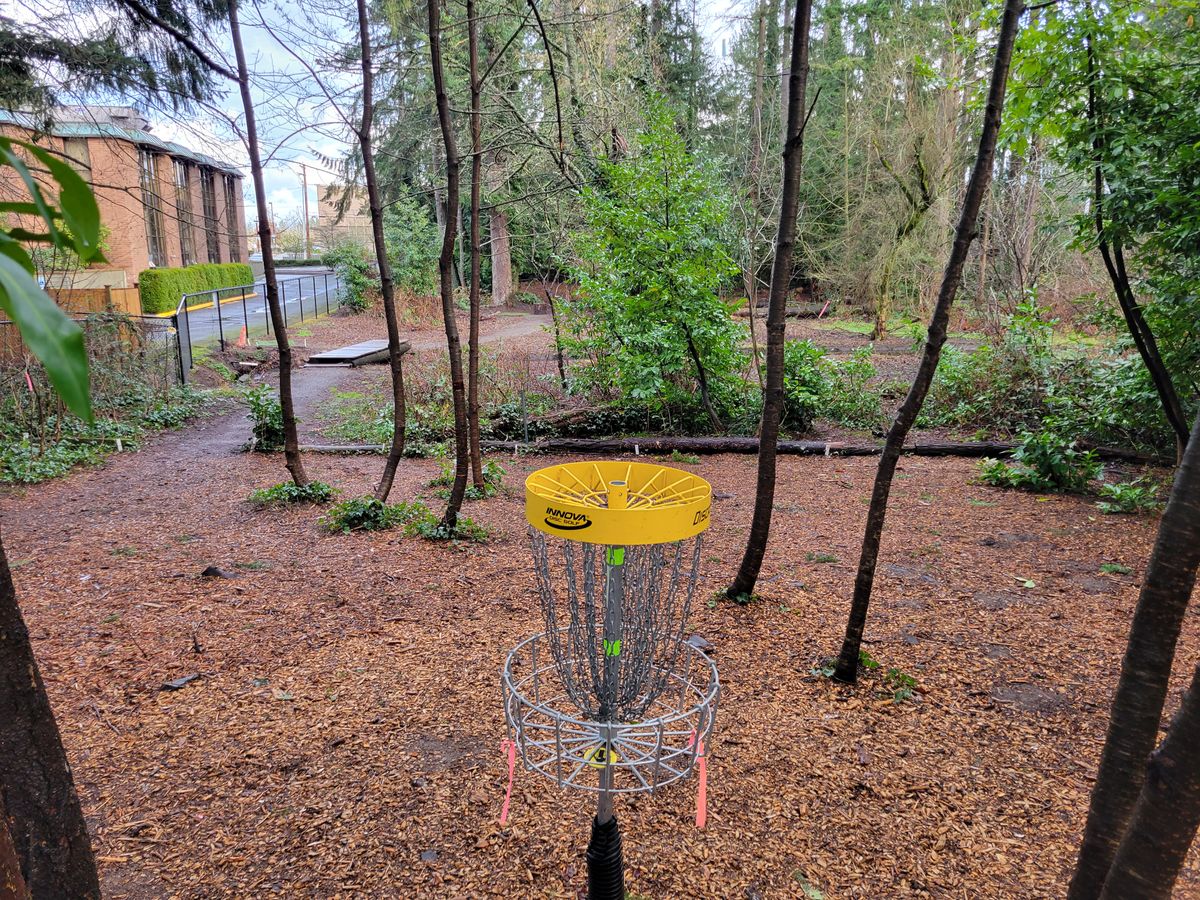 The island looking back to tee's.  Left gap for tee 5. Right gap for tee 14