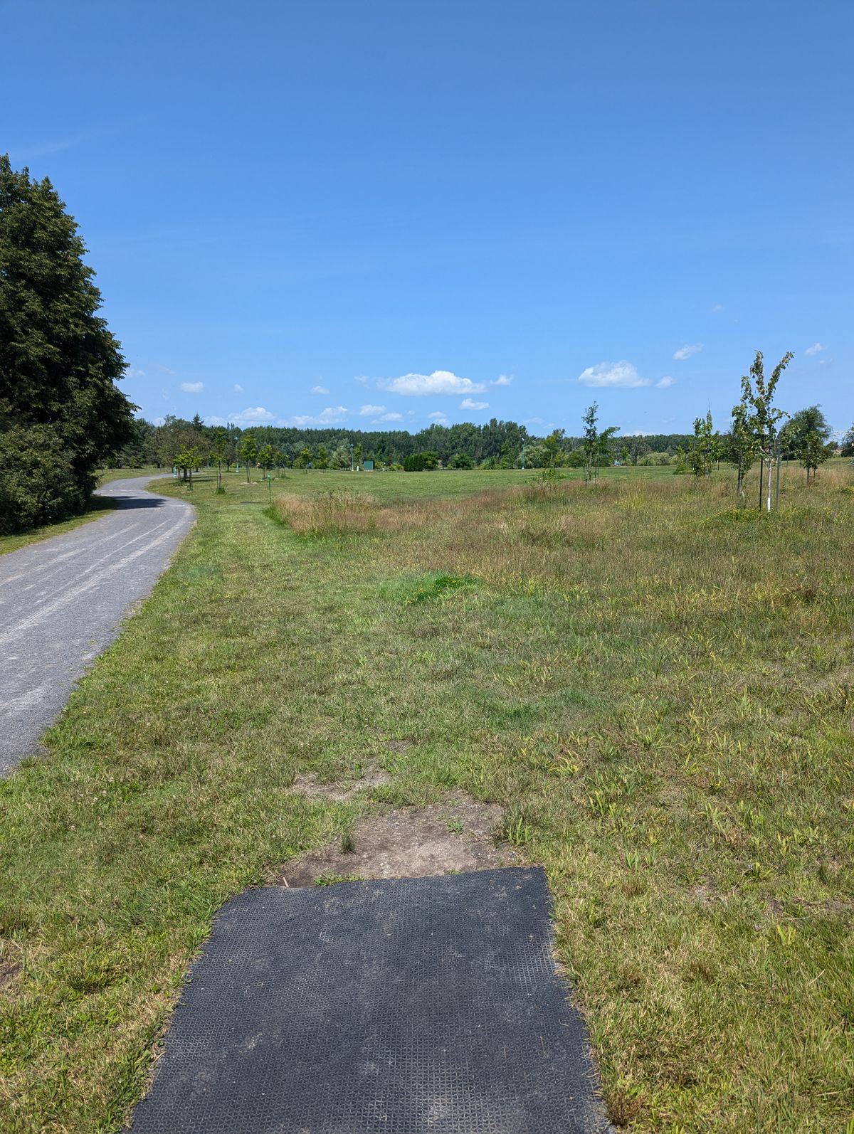 Hole 8 - Long