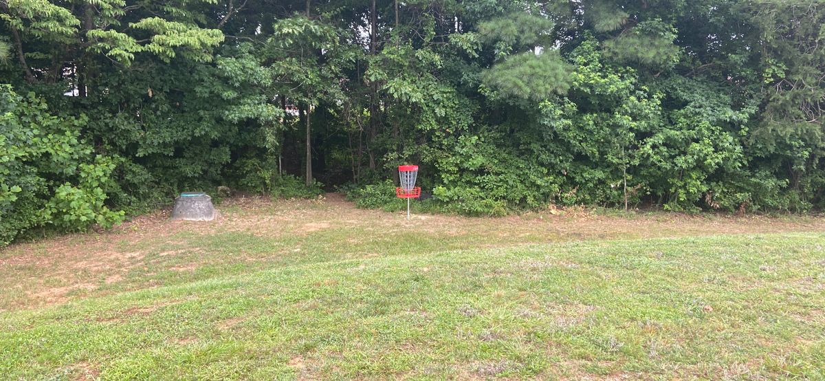Hole 6 basket viewed from tee pad on #7