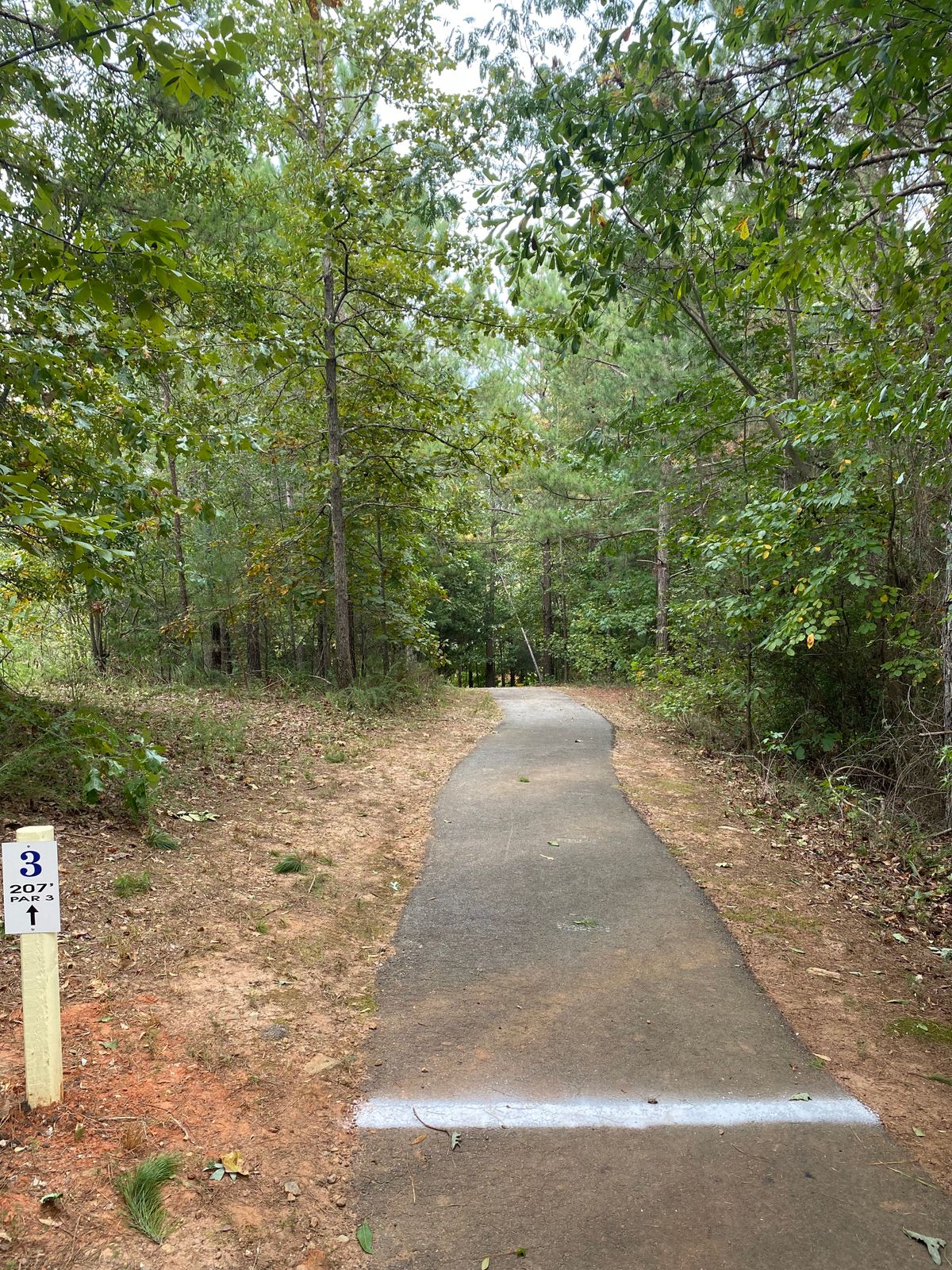 Hole 3 Tee