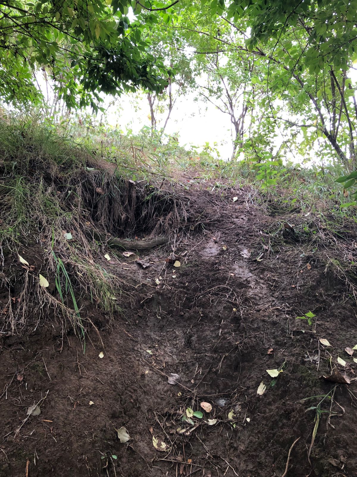Miss putt on 1 and end up down a steep ravine for the come back.