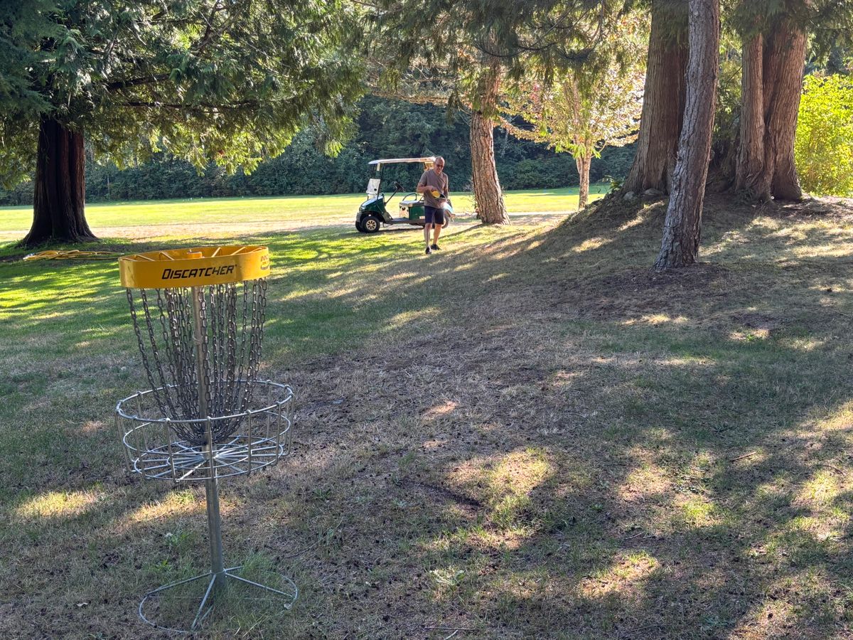 Hole 8 looking back towards tee pad on other side of golf fairway.