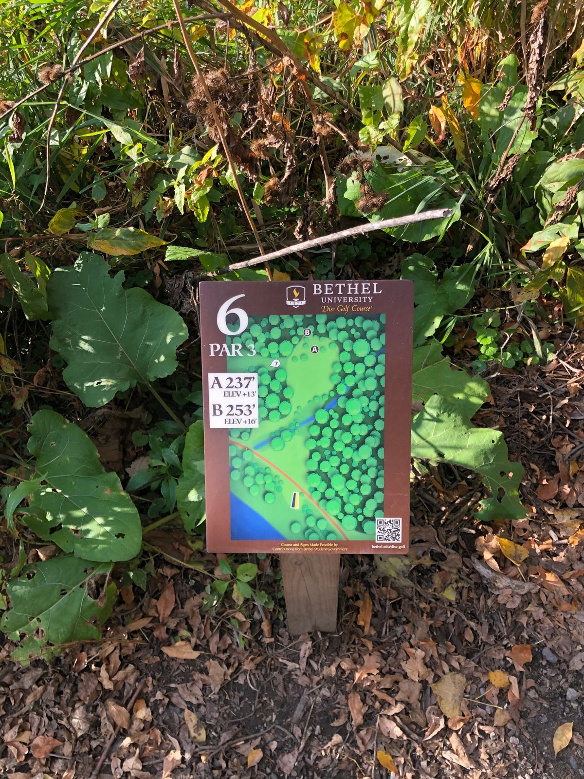 Distance on hole 6.