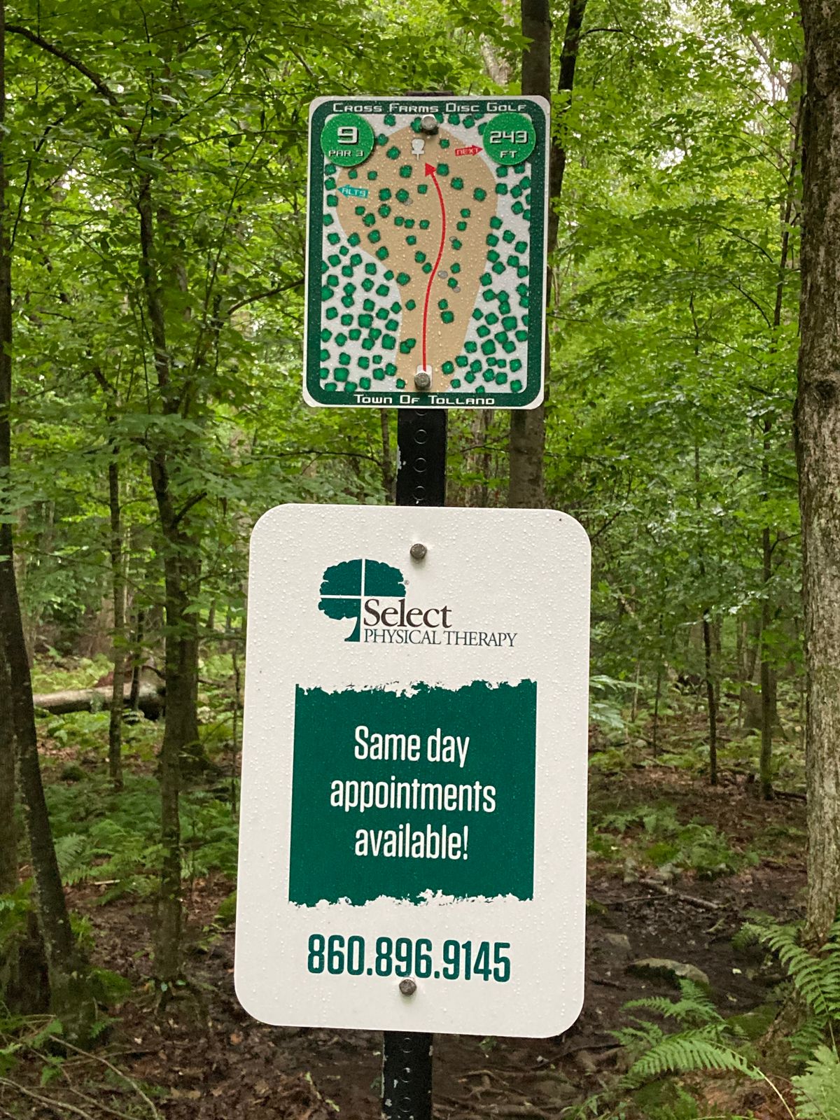 Hole 9 regular. Ace shot- if you can miss the trees.