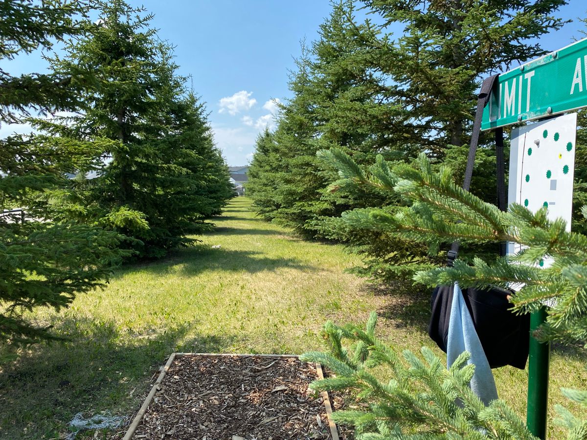 Lots of trees on several holes with tiny windows to reach basket (often blind from tee)