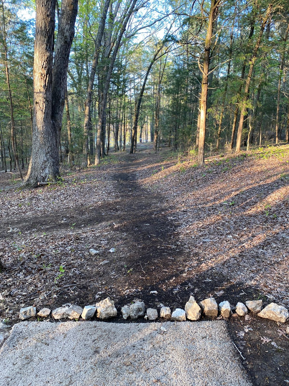 Hole 11