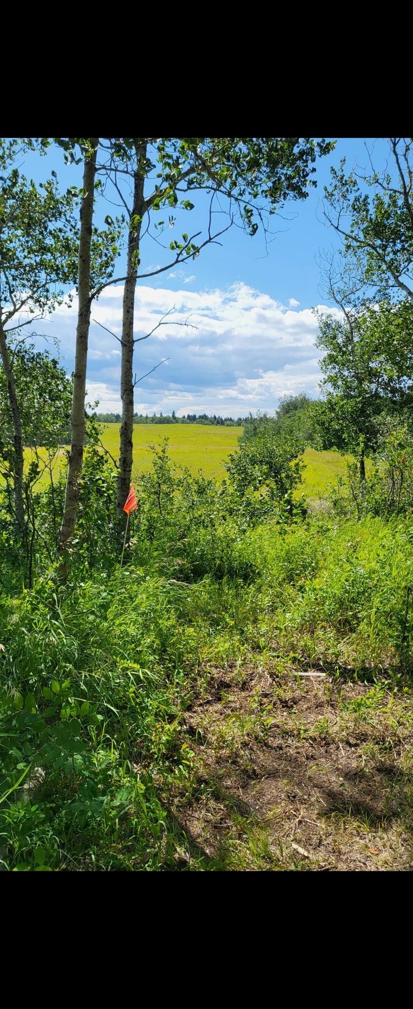 Hole 14