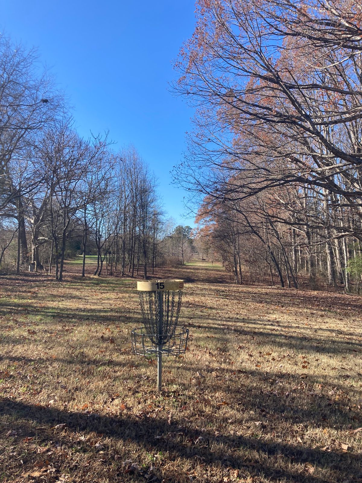Hole 5 Green