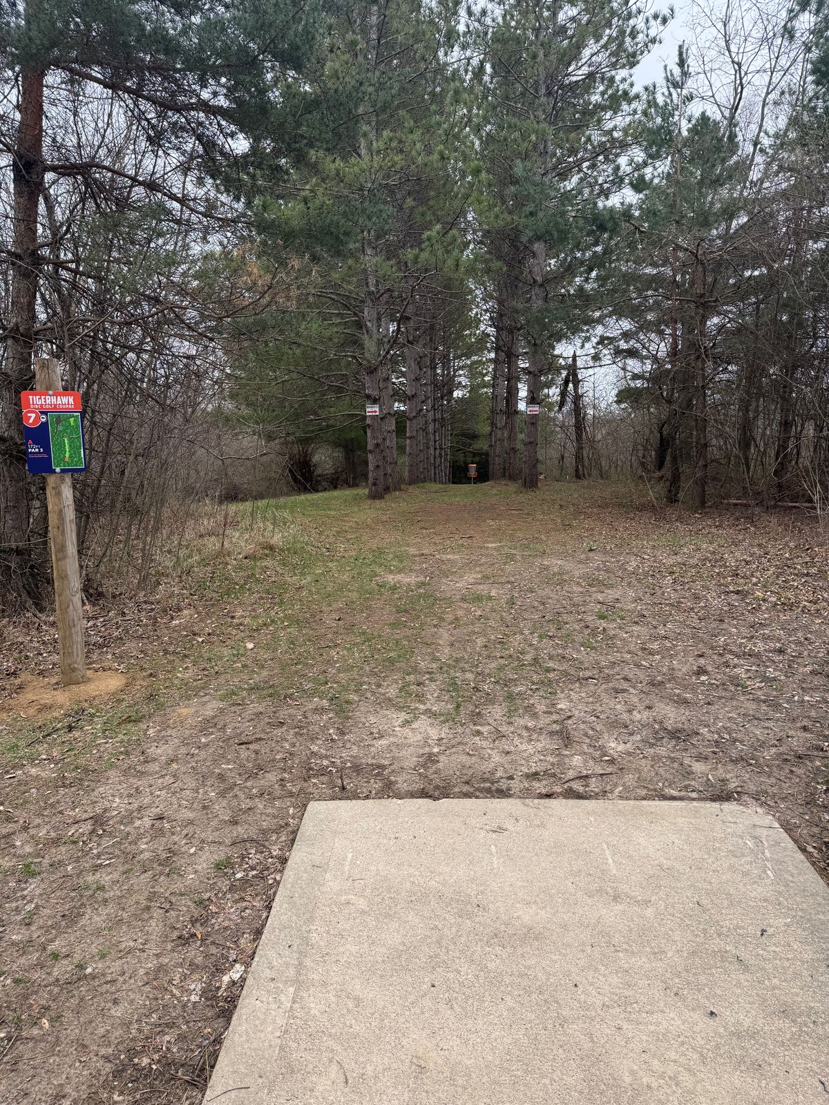 Hole 7