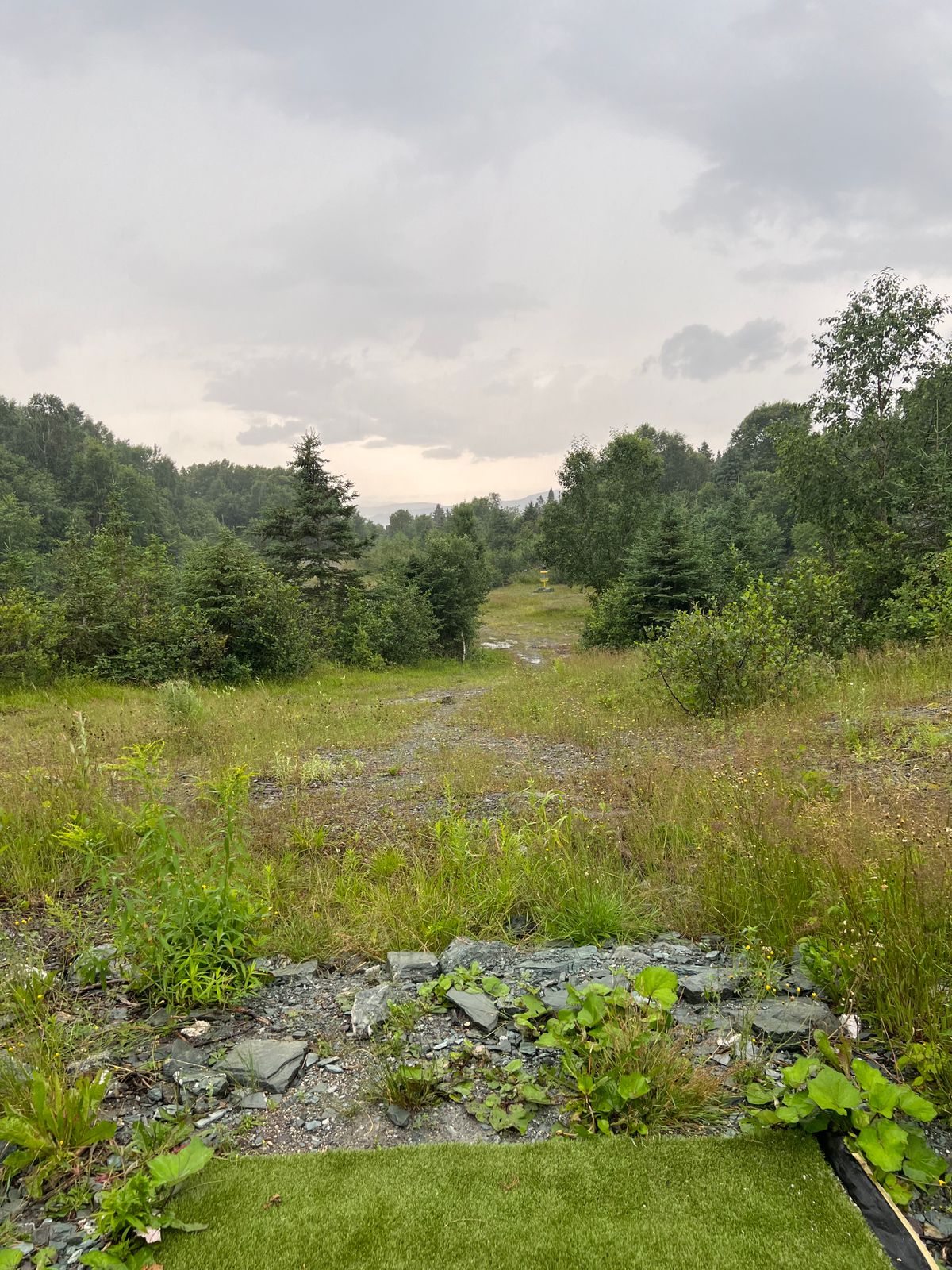 Hole 11A Tee