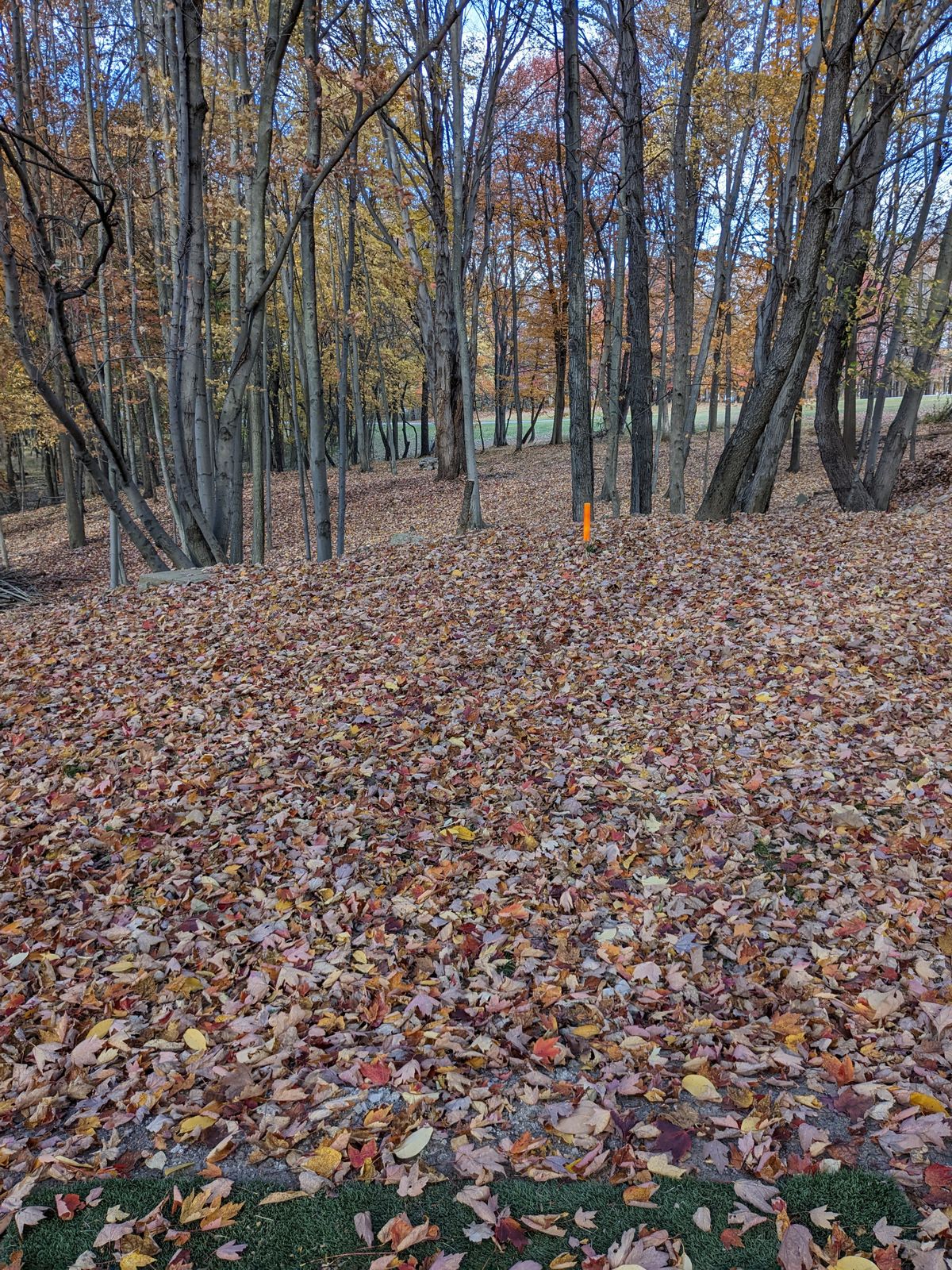 Hole 15 tee