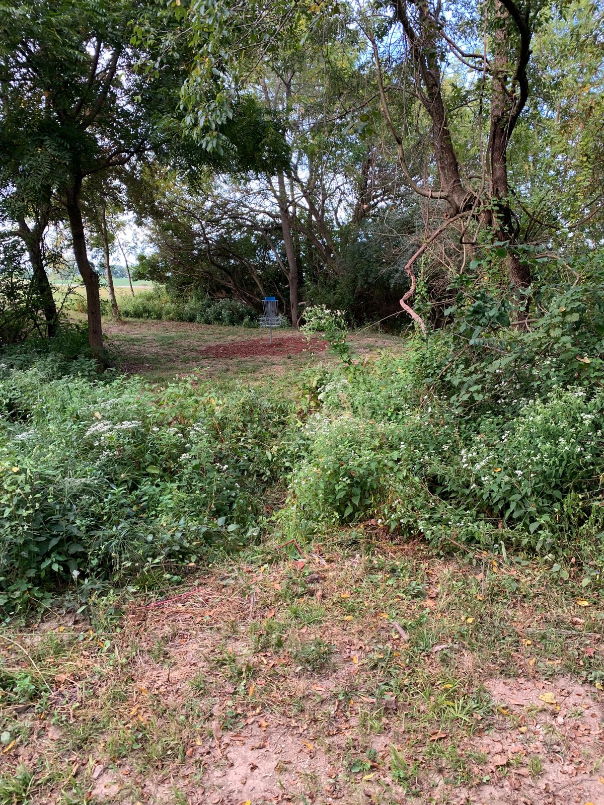 Hole 3 B Pin side basket view