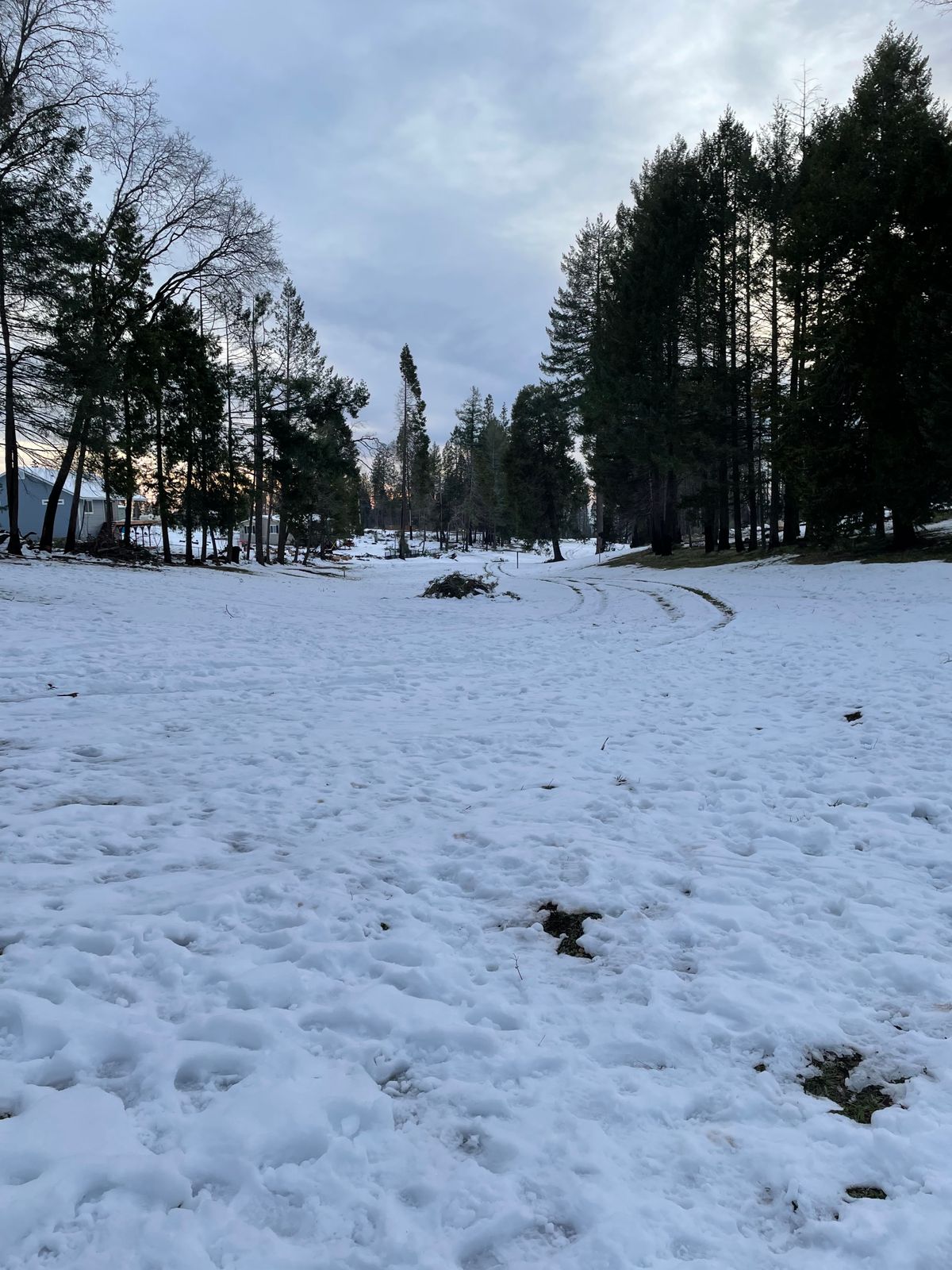 There are quite a few downed trees throughout out the course.