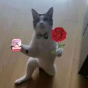 User avatar image
