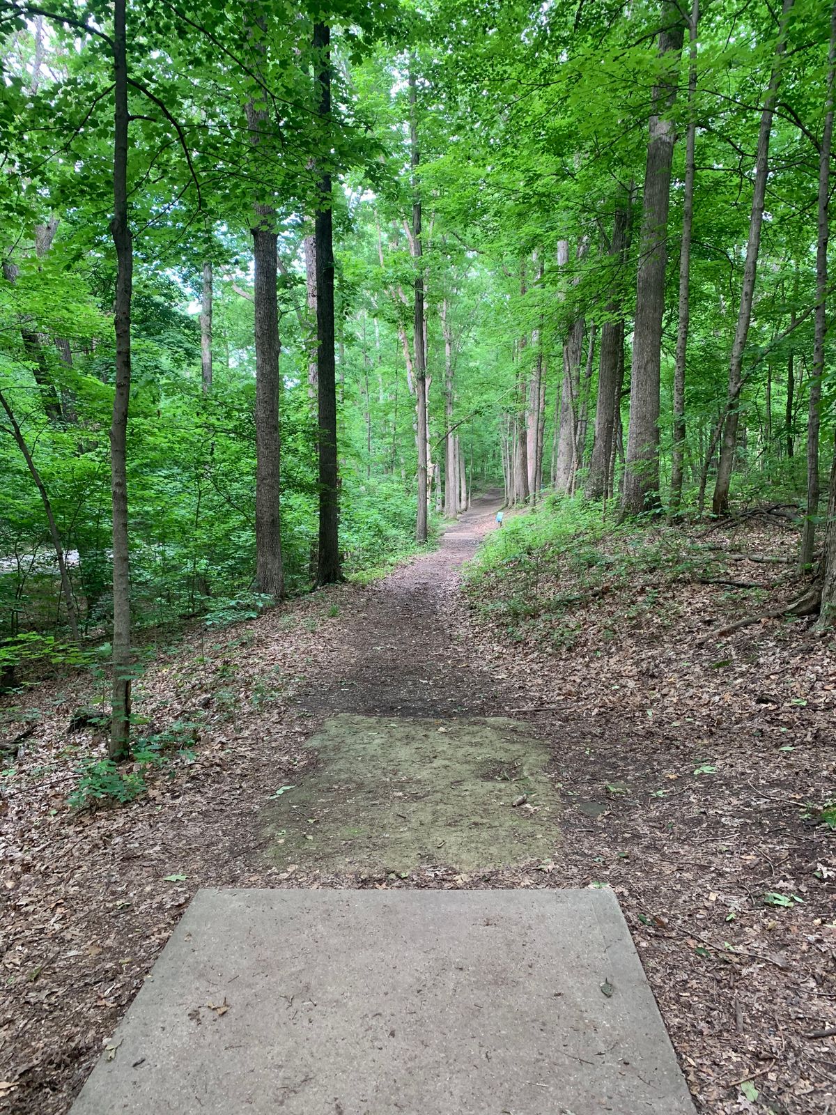 Hole 14. Long and Narrow