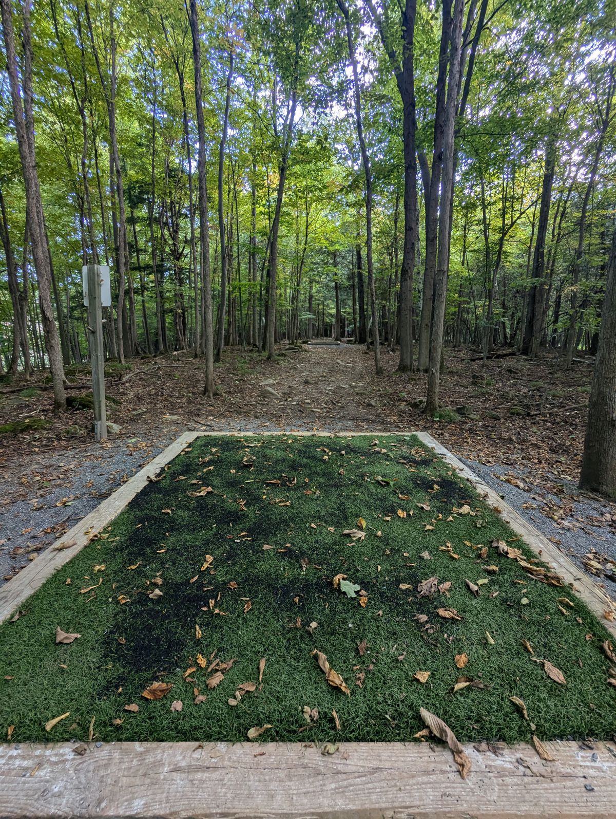 Hole 4