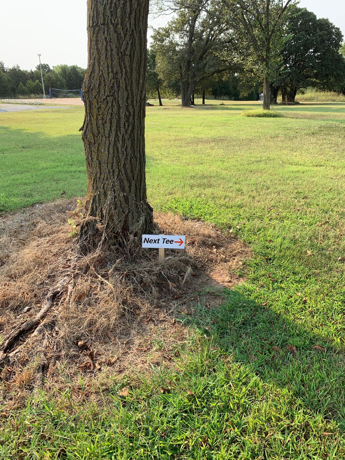 Signage everywhere!