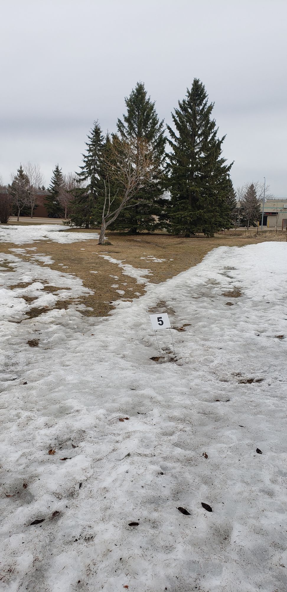 Hole 5, April 2022