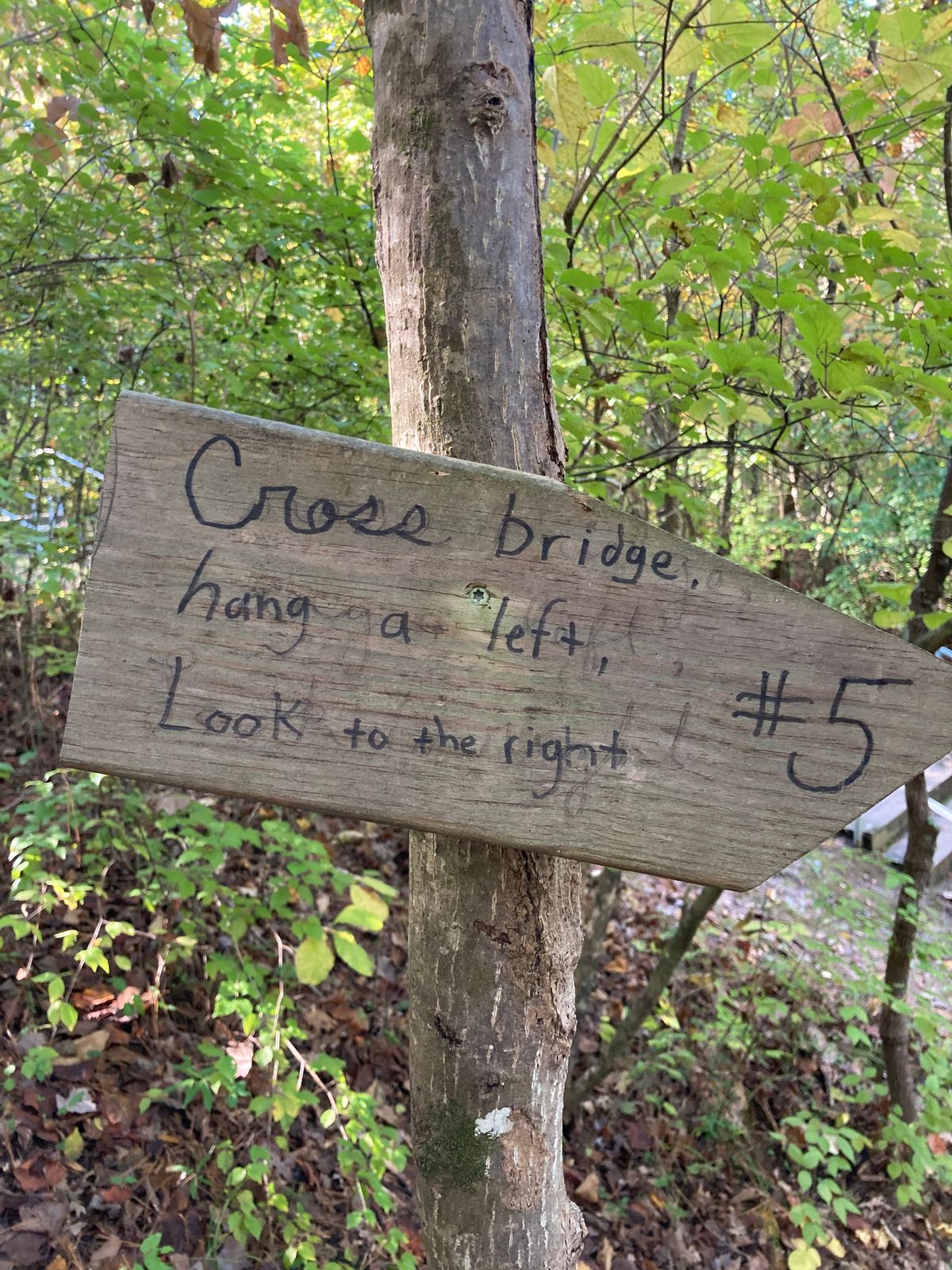 Signage to tee pad 5- a challenge to find. I originally went to tee pad 12.