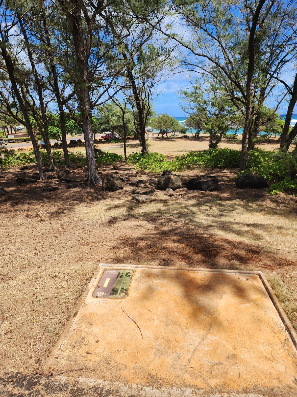 1st tee
