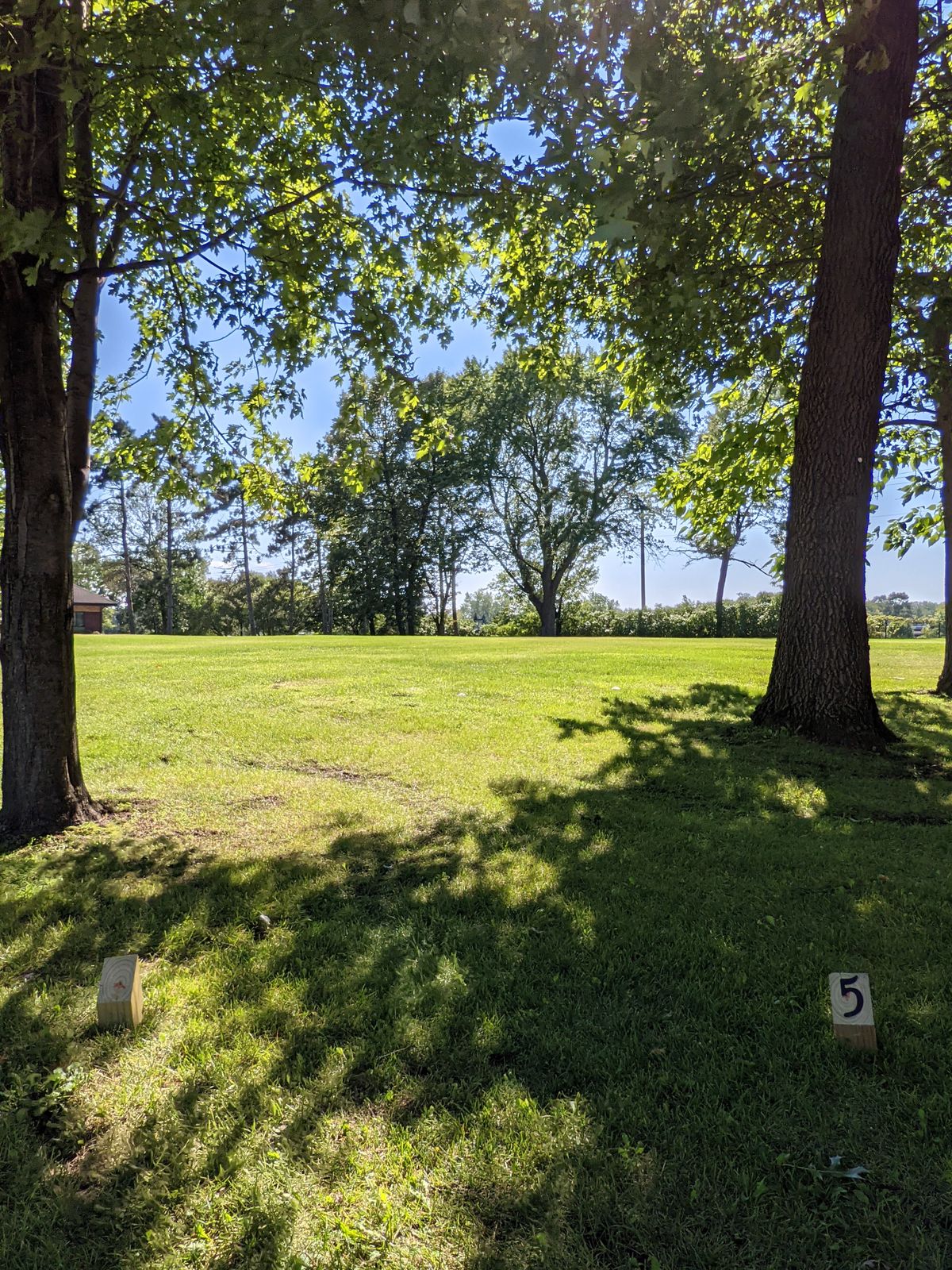 Hole 5 tee pad