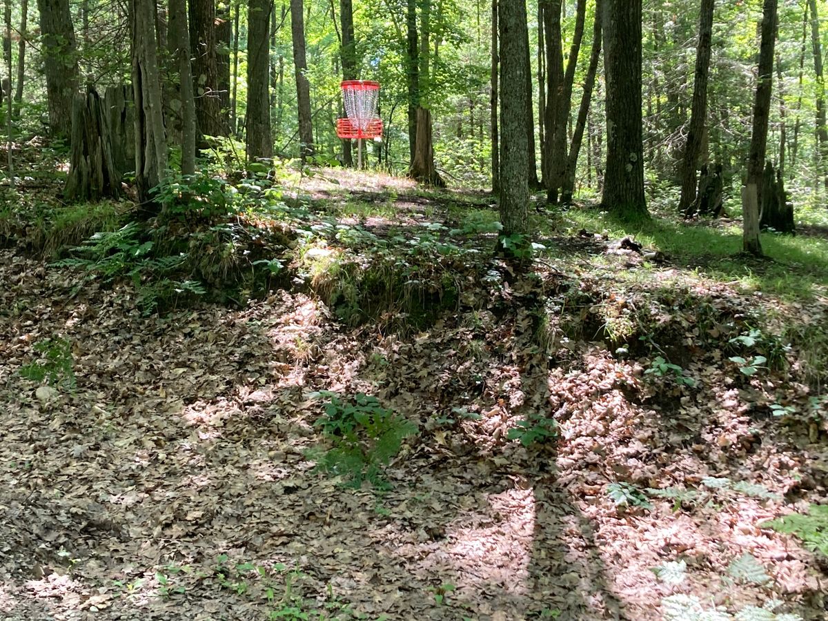Basket hole 5