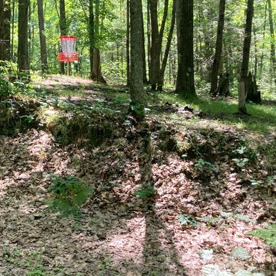 Basket hole 5
