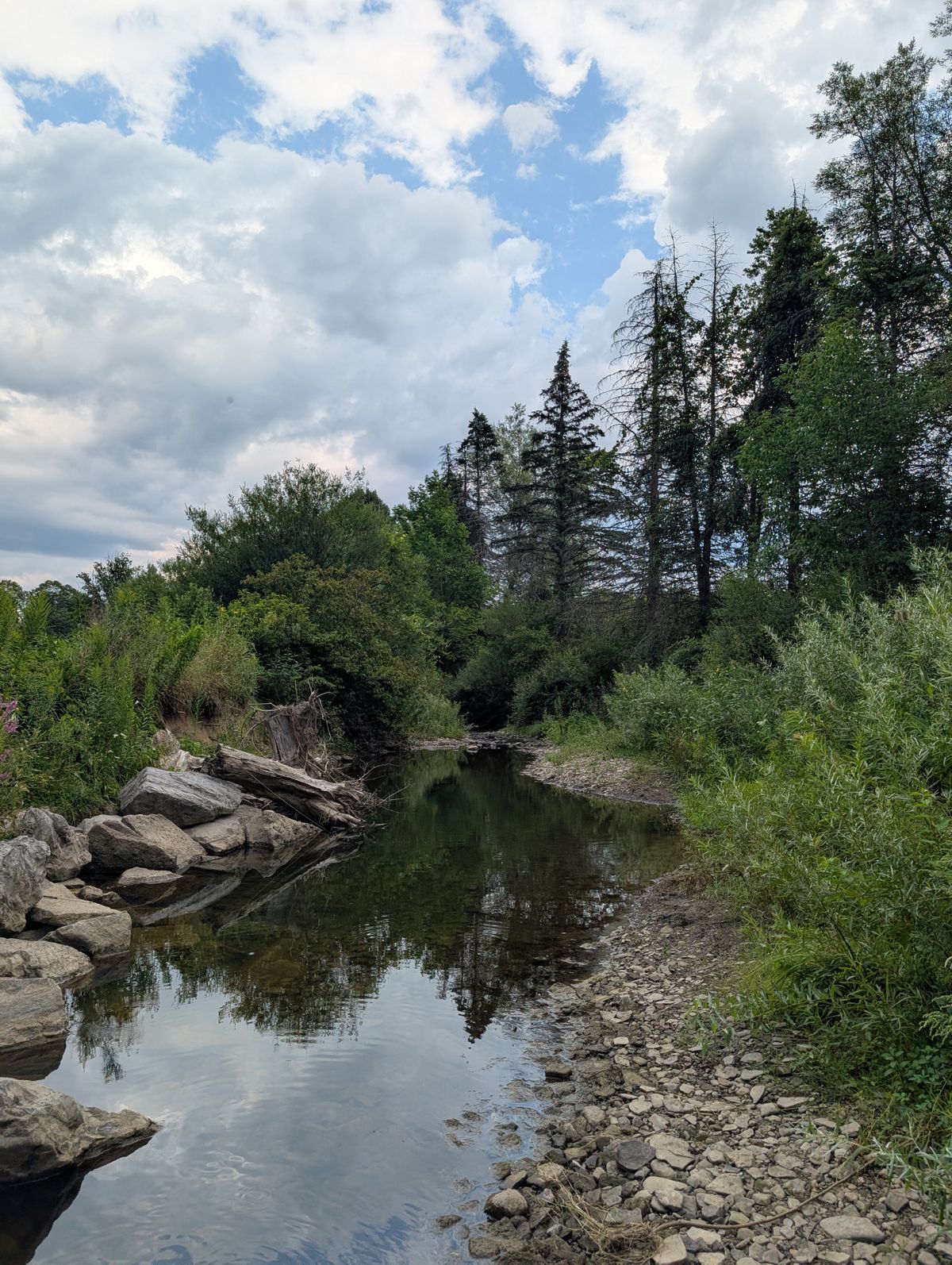 Creek beside hole 18