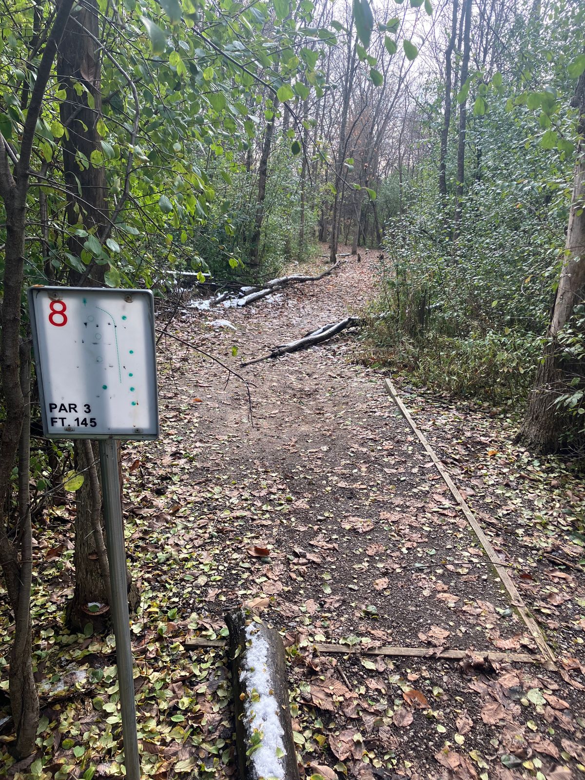 Basket 08 is a very short right to left ace hole. Tunnel shot is required.