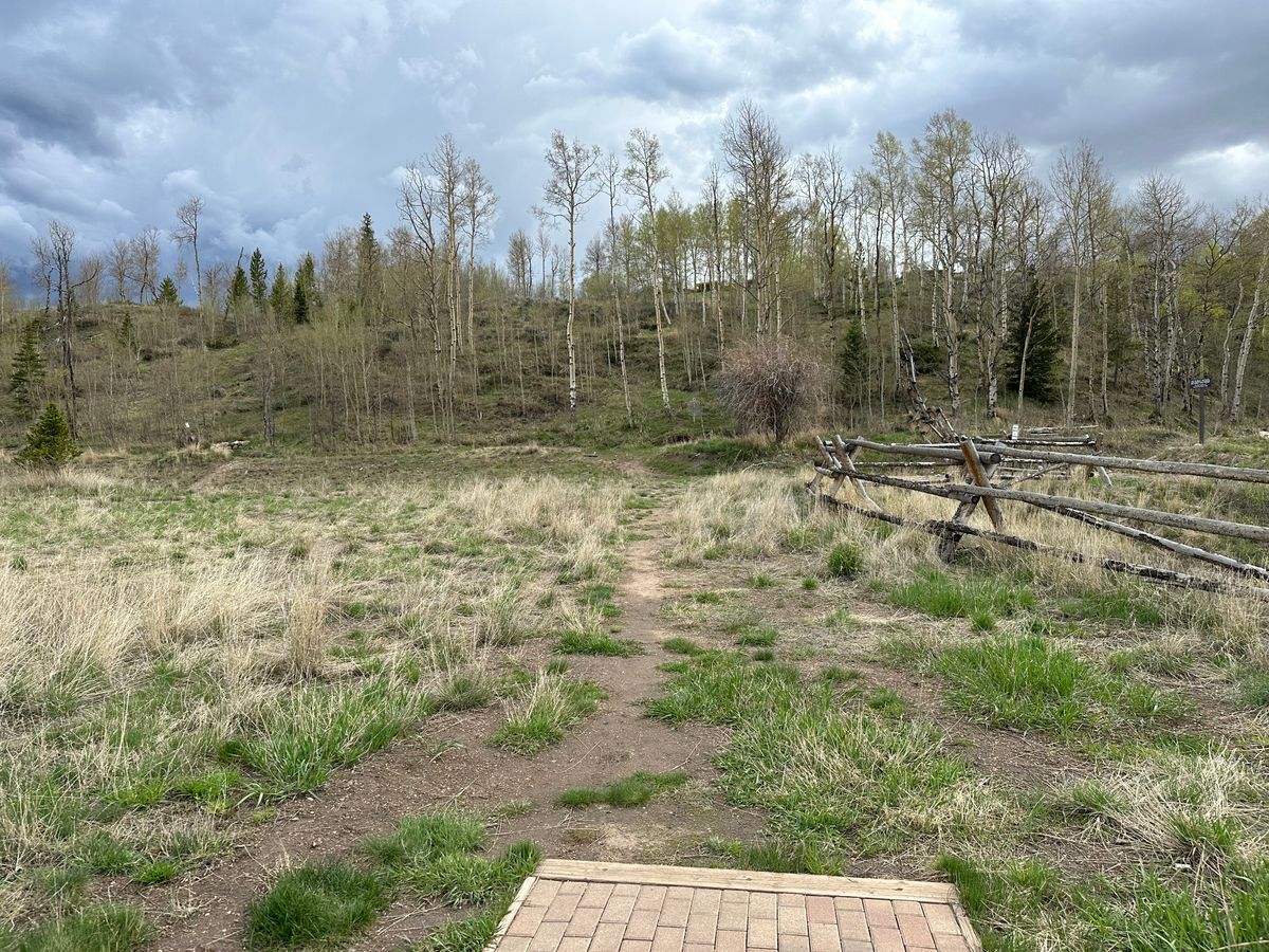 Hole 5 Tee