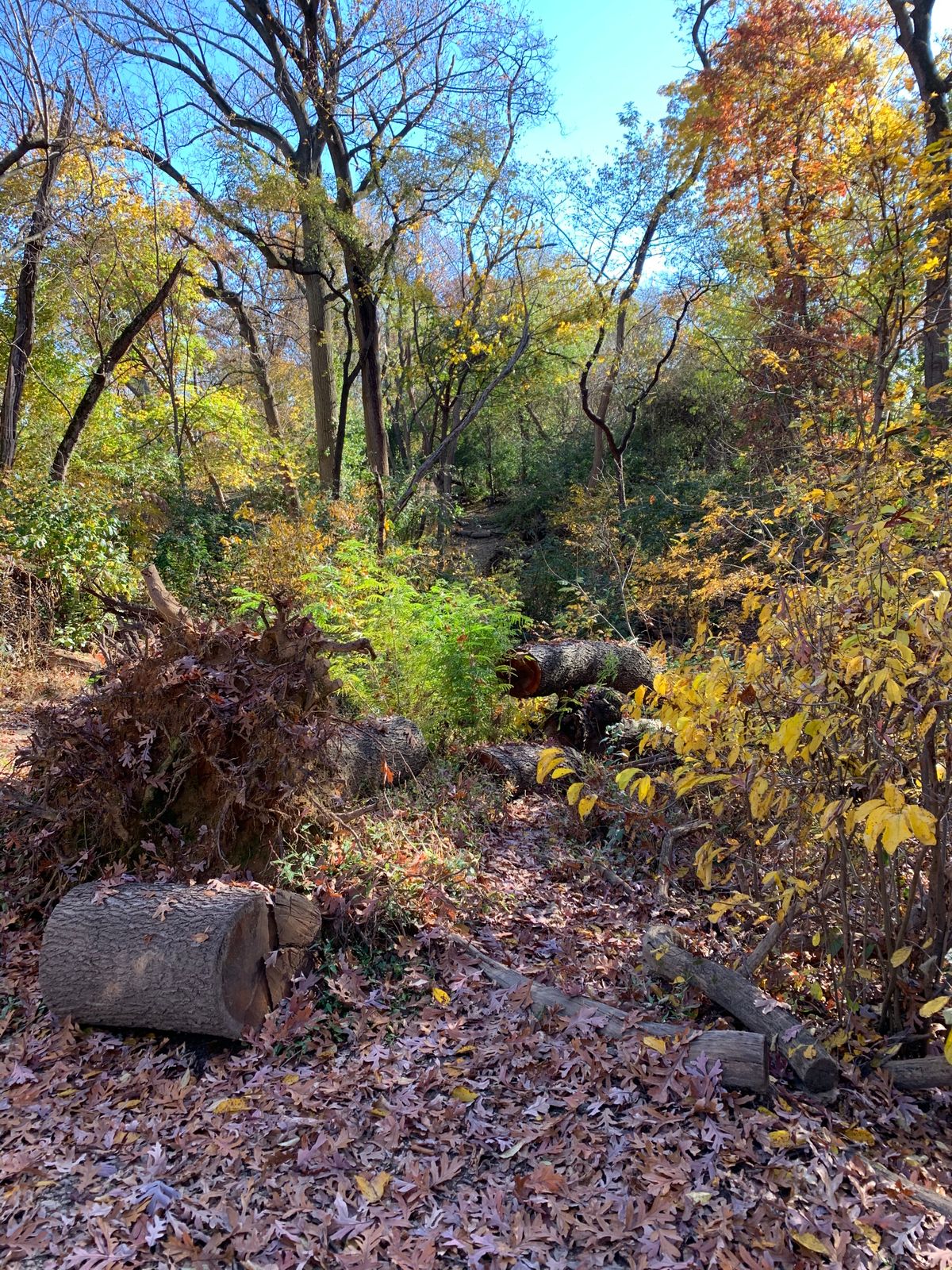 Hole 14