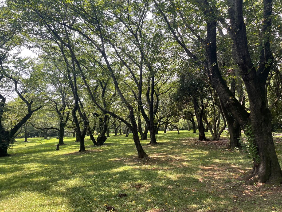 Hole 7 fairway