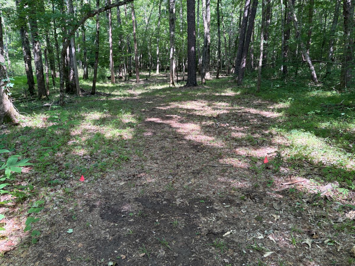 Hole 8 tee