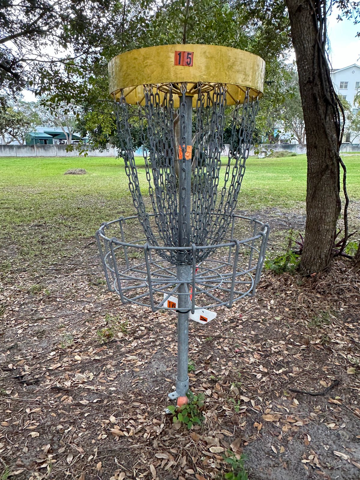Some baskets are under trees, surrounded by bushes for a more difficult approach