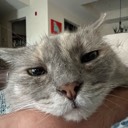 User avatar image