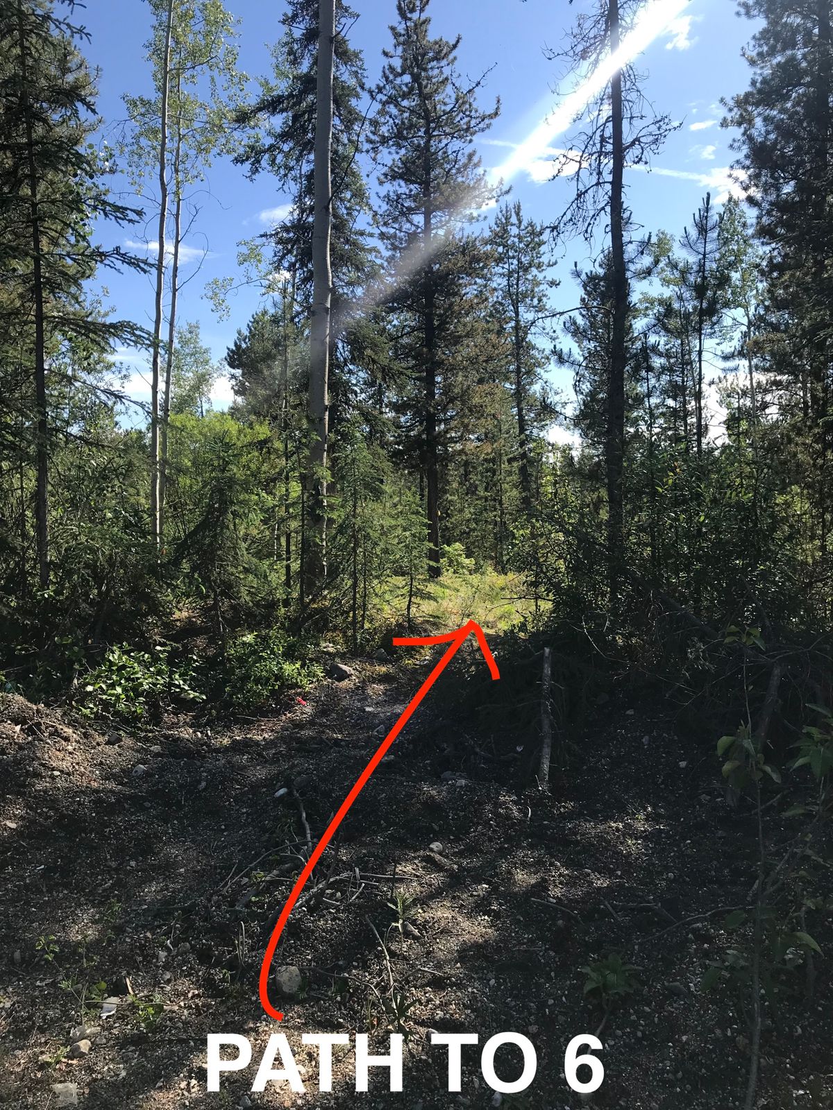 Path to 6