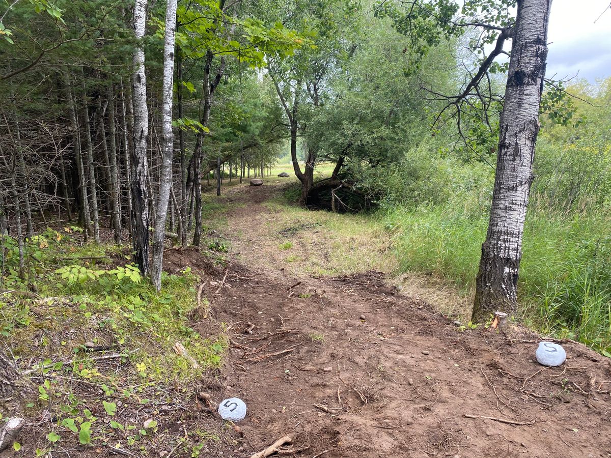 Hole 5