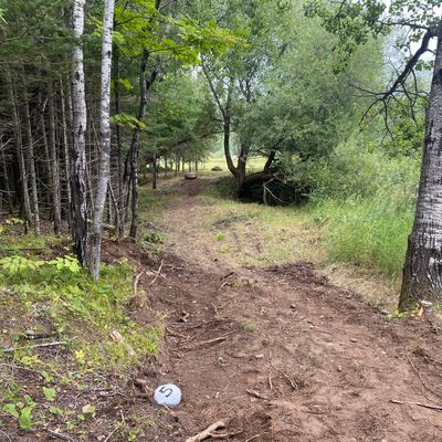 Hole 5