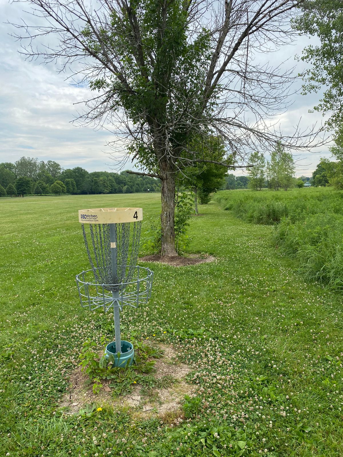 Hole 4 (Reverse)
