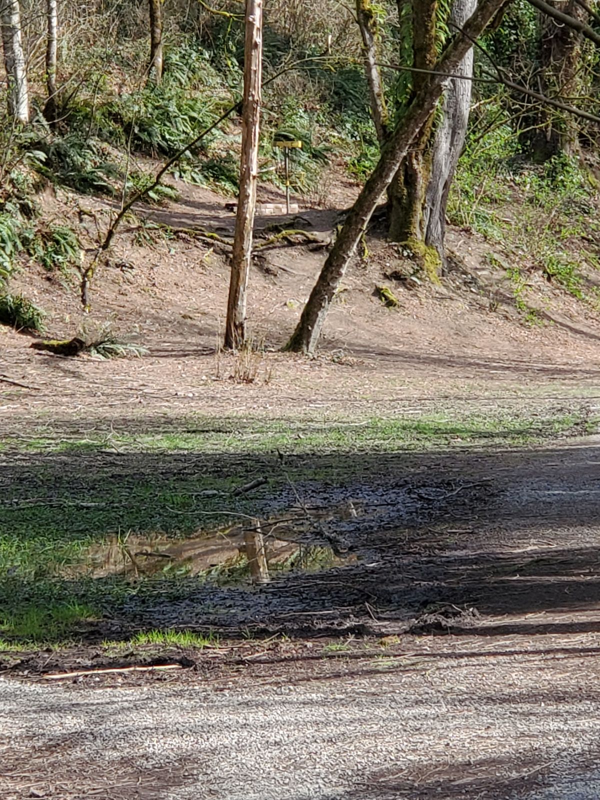 Short position on hole 15.