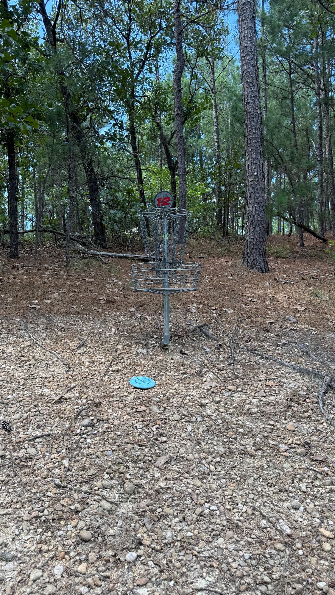 Hole 12 Basket