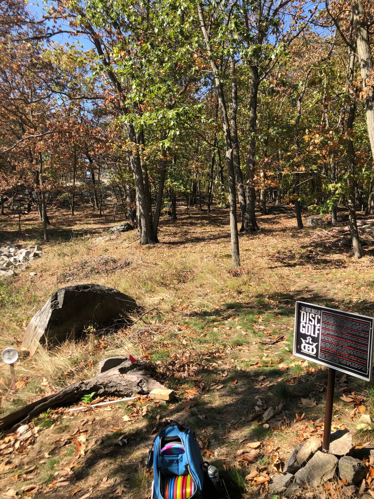 Hole #1 (113’)