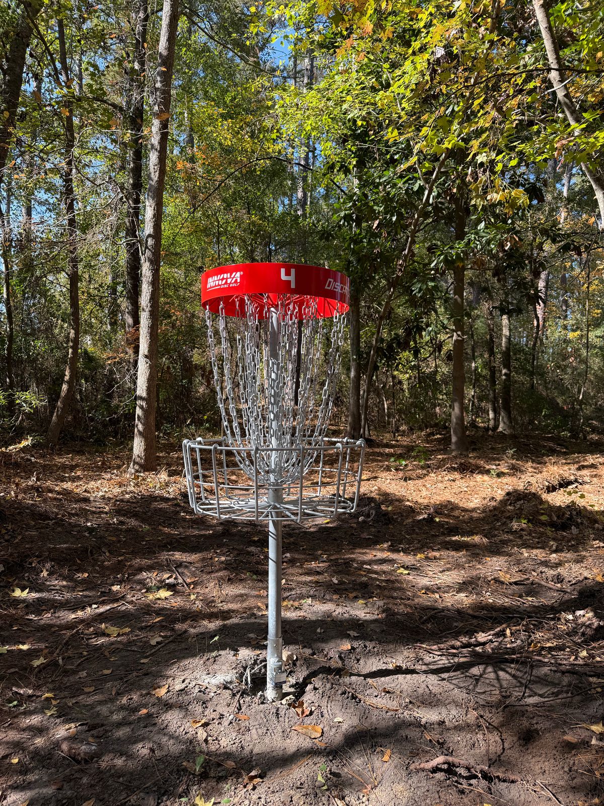 Hole 4 basket
