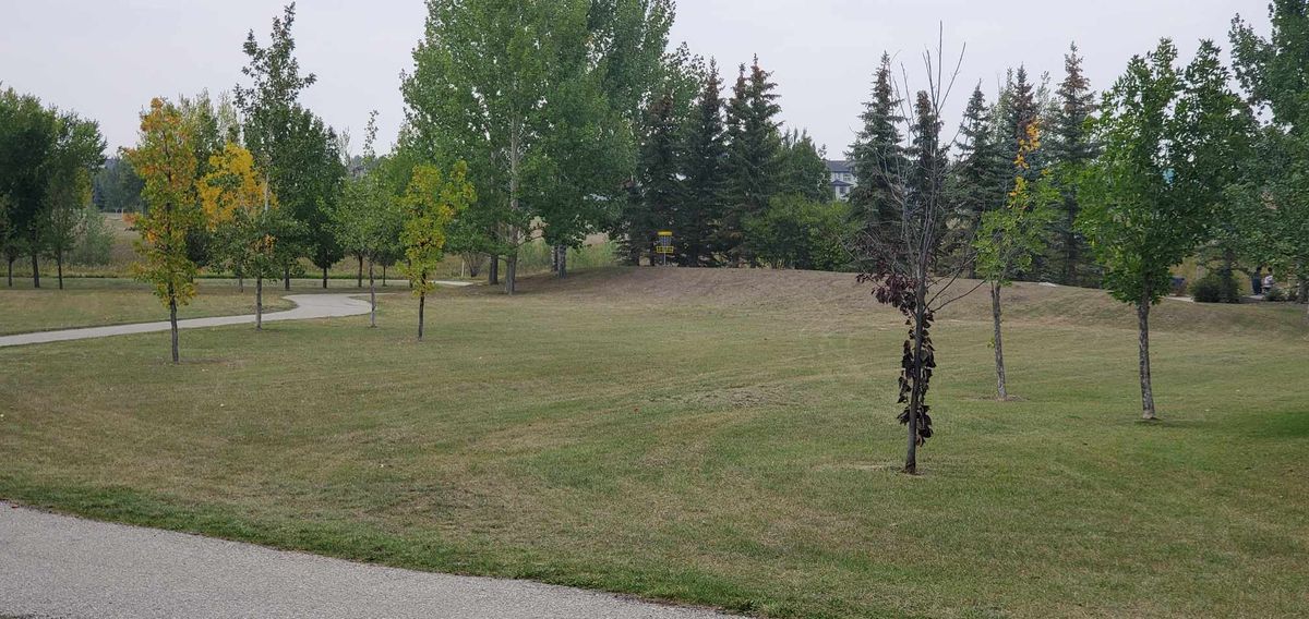 Hole 4