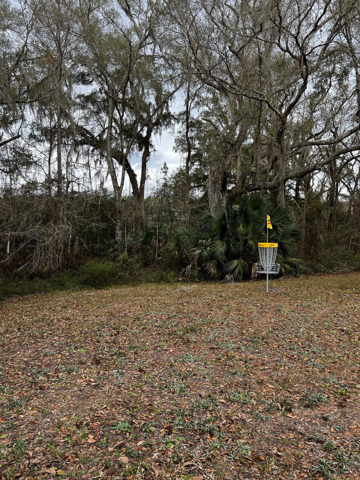 Hole 1