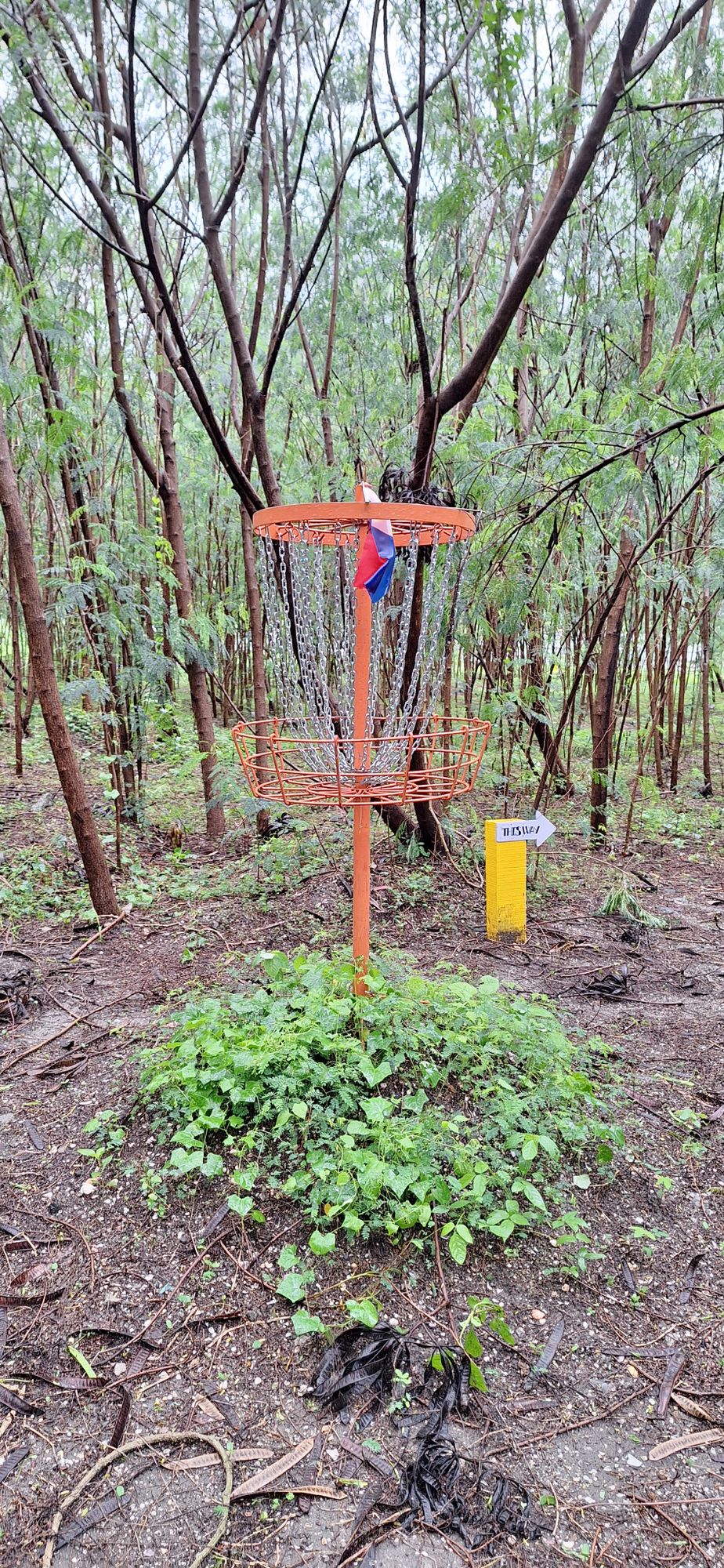 Hole 4 basket