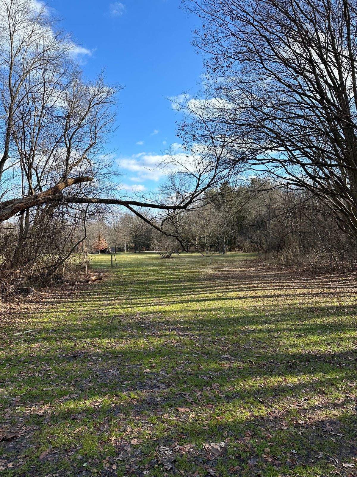 New obstacle on Hole 2 after the storms