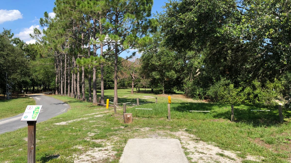Hole 1 white tee (short)