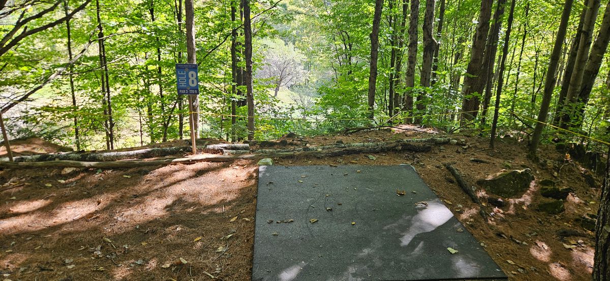 Hole 8